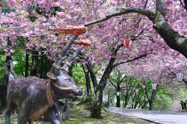 八重桜まつり