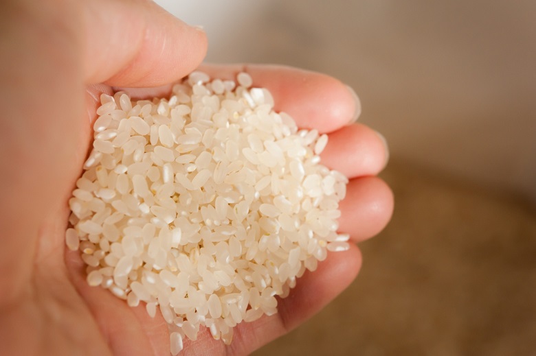 石川の米